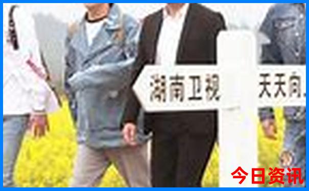乳胶品牌前十名排名榜